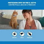 Frontline Spot On Kat, 3 pipetten, Frontline
