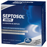 Septosol mit Methylenblau X 20 Tropfen, Biofarm
