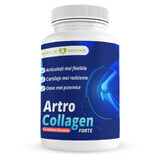 Artro Collagen Forte, 30 Kapseln, Doza de Sănătate