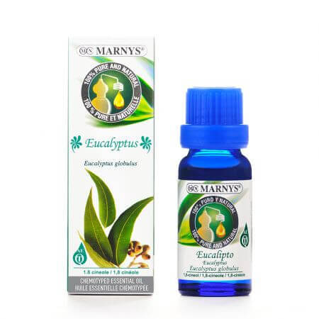 Ulei esential Eucalipt, 15 ml, Marnys