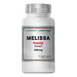 Melissenextrakt, 500 mg, 30 Kapseln, Cosmo Pharm