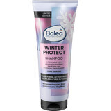 Balea Professional Winterschutz-Shampoo, 250 ml