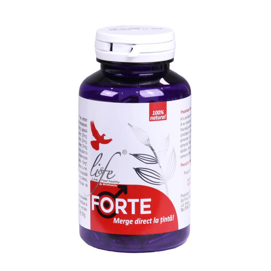 Forte, 120 Kapseln, Dvr Pharm