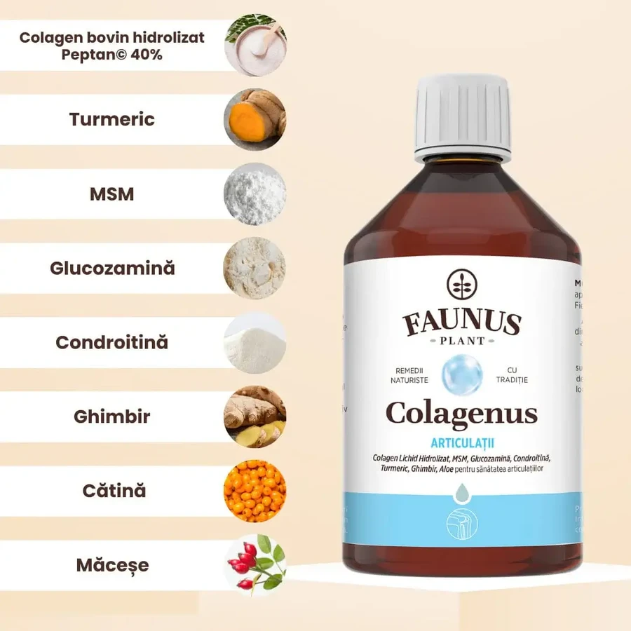 Colagenus articulatii, 500 ml, Faunus