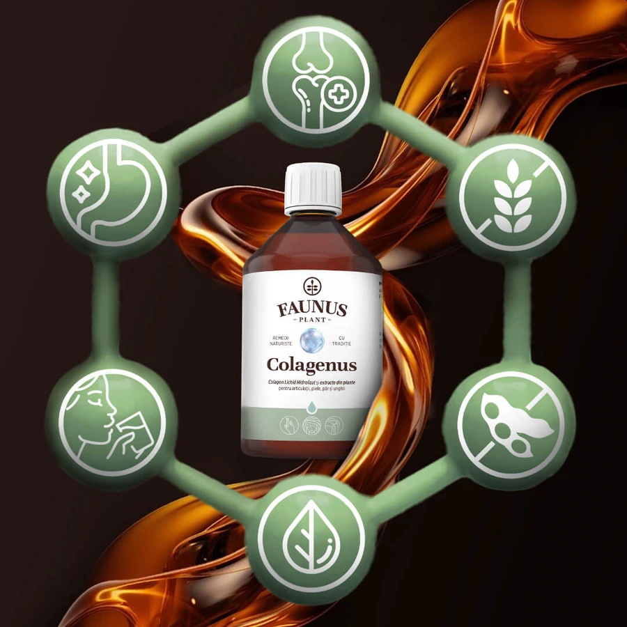Colagenus articulatii, 500 ml, Faunus