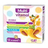 Acadele Multivitamol, 12 bucatie, Natur Produkt