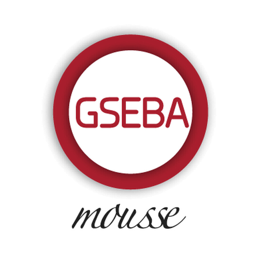 Gseba Schaum, 100 ml, Meditrina Pharmazeutika