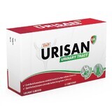 Urisan Harnwege, 30 Tabletten, Sun Wave Pharma