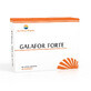 Galafor Forte, 30 Kapseln, Sun Wave Pharma