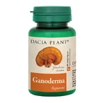 Ganoderma, 60 tablets, 1+1, Dacia Plant