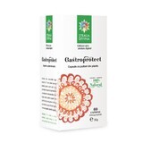 Gastroprotect, 60 Kapseln, Divine Star