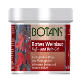 Botanis Rotwein-Extrakt-Gel, 500 ml, Glancos