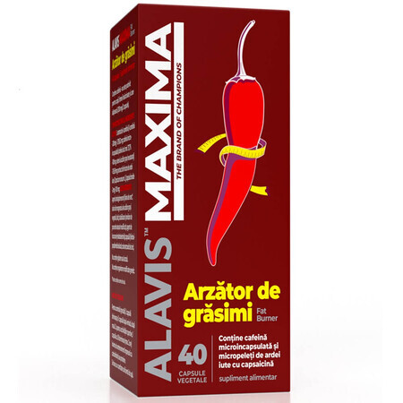 Fat Burner, 40 capsule vegetale, Alavis Maxima