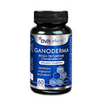 Ganoderma Reishi Triterpense Standardisiert, 60 Kapseln, DVR Pharm