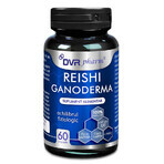 Ganoderma Reishi Triterpense Standardisiert, 60 Kapseln, DVR Pharm