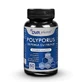 Polyporus Mushroom with Leaves, 60 capsules, DVR Pharm