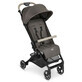 Ping Two Sportkinderwagen, bis zu 22 kg, Herb, Abc Design