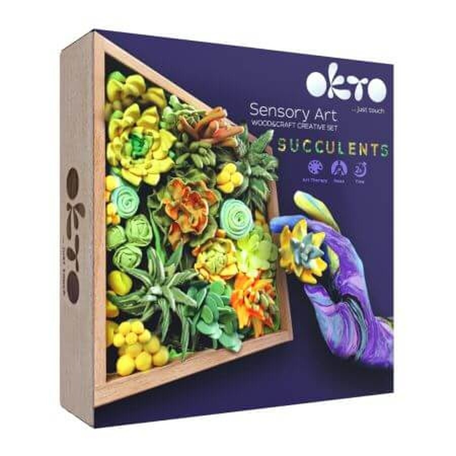 Succulente Set di creazione Wood&Craft, 21 x 21 cm, +12 anni, Energia, Okto