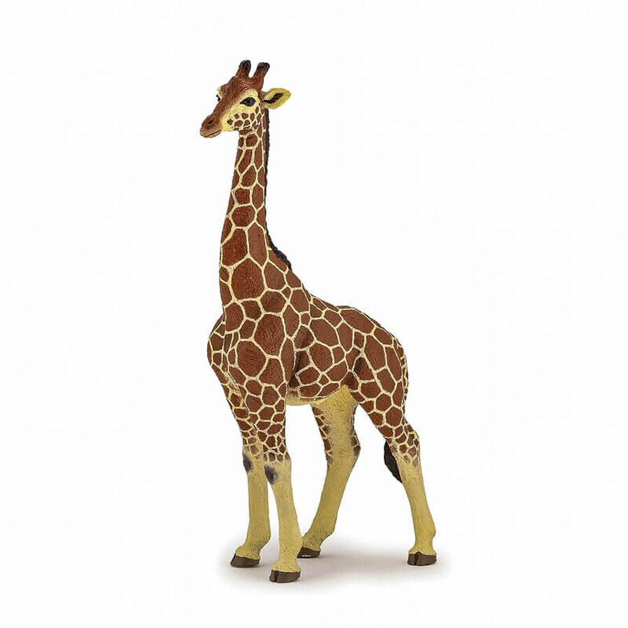 Giraffe Figur männlich, +3 Jahre, Papo