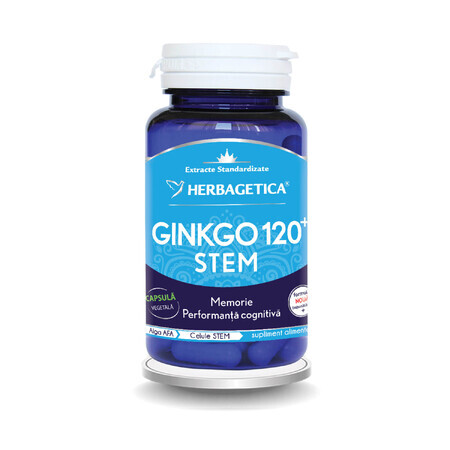 Ginkgo 120 Stängel, 60 Kapseln, Herbagetica