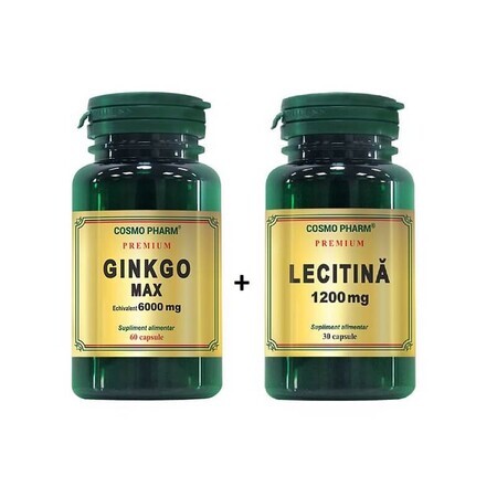 Ginkgo Max 6000 mg, 60 Kapseln + Lecithin 1200 mg, 30 Kapseln, Cosmopharm