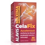 CelaFix, 30 vegetarische Kapseln, Alavis Maxima