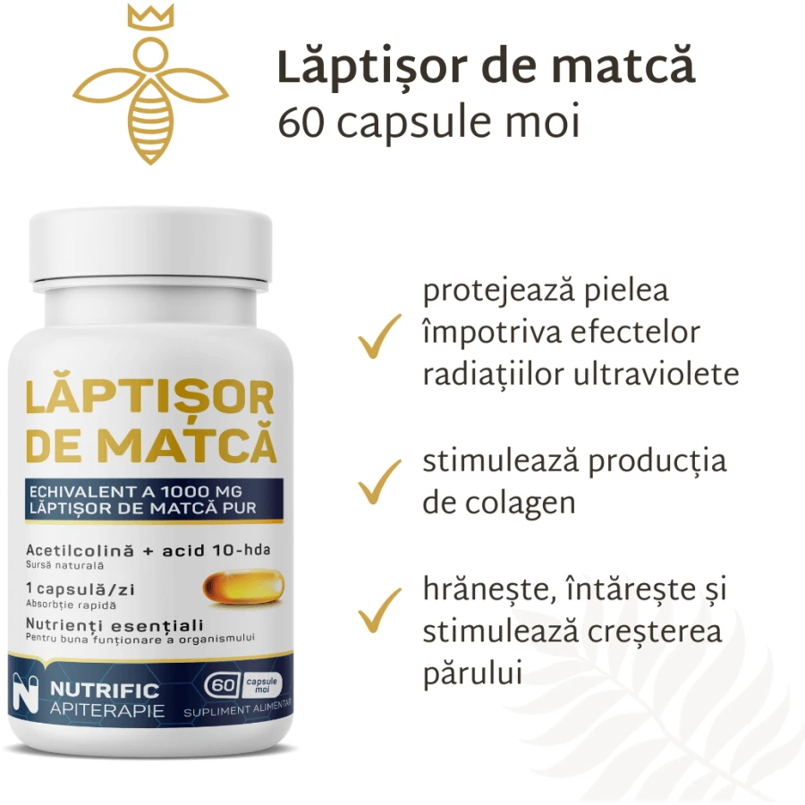 Matchaboter, 60 softgels, Nutrific