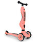 Trotineta pentru copii transformabila 2 in 1 Highwaykick, 1 - 5 ani, Peach, Scoot &amp; Ride