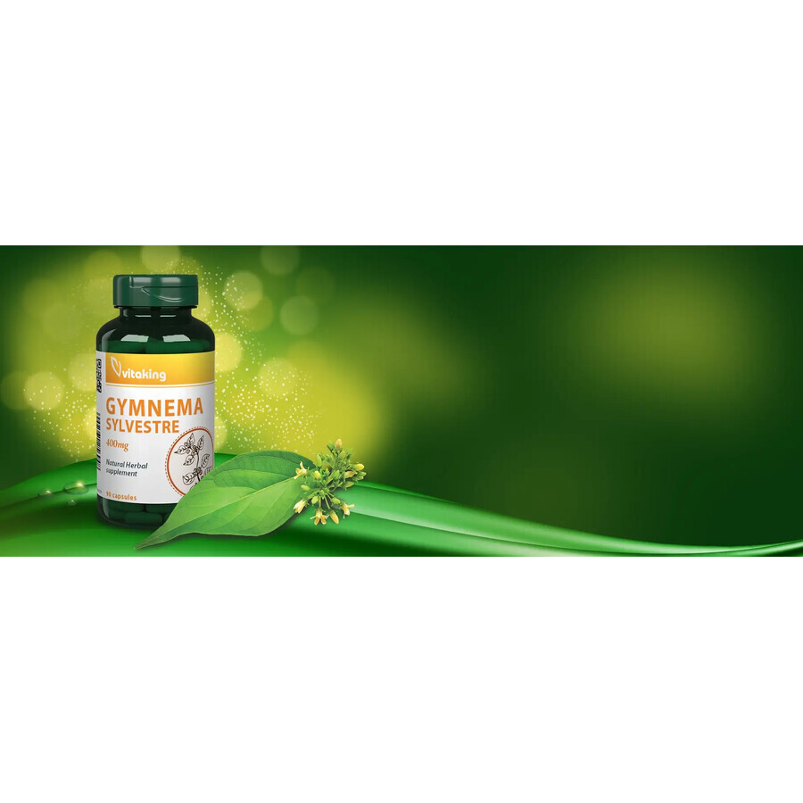 Gymnema Sylvestre 400 mg, 90 Kapseln, VitaKing