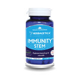 Immunity Stem, 30 capsule, Herbagetica