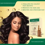 Gerovital Expert Treatment Hair Regeneration Kit - Vials, 10 vials x 5 ml / 10 vials x 10 ml, Farmec