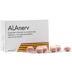 Alanerv, dietary supplement for nervous system, 20 softgels, Alfasigma