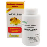 Larvalbina, 40 capsule moi, Hofigal