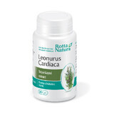 Leonurus Cardiaca - Goosefoot Extract, 30 capsules, Rotta Natura