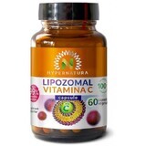 Lipozomales Vitamin C, 60 Kapseln, Hypernatura