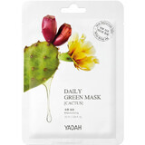 Cactus Daily Green Gesichtsmaske, 25 ml, Yadah