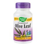 Olive Leaf 20% SE Nature's Way, 100 capsule, Secom
