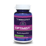 Optimist +, 60 Kapseln, Herbagetica