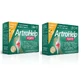 ArtroHelp Forte pack, 28+14 sachets, Zenyth