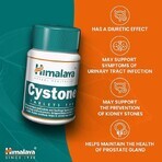 Cystone Package, 60 + 60 tablets, Himalaya (10% discount)