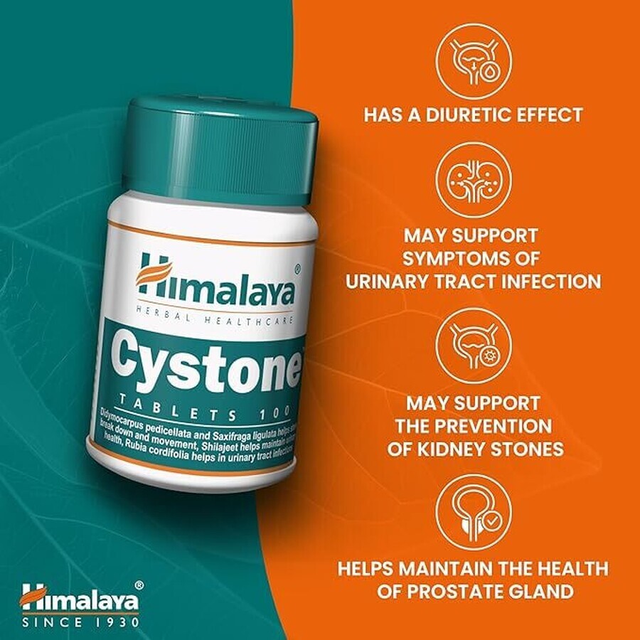 Cystone Package, 60 + 60 tablets, Himalaya (10% discount)