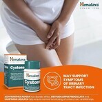 Cystone Package, 60 + 60 tablets, Himalaya (10% discount)