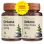 Set Ginkana Ginkgo Biloba 120 mg, 30 Tabletten, Alevia (1+1)