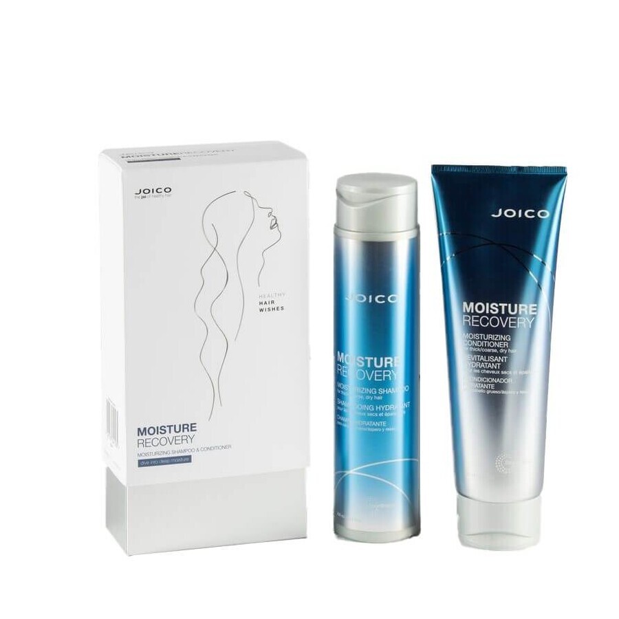 Pachet Xmas 2020 Moisture Recovery Sampon 300 ml + Conditioner 250 ml, Joico