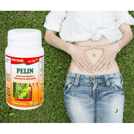 Pelin (Wormwood) 70 capsules, Favisan