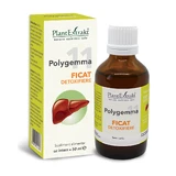 Polygemma 11 Ficat Detoxifiere, 50 ml, Plant Extrakt