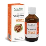 Polygemma 15, Intestinal Detoxification, 50 ml, Plant Extrakt