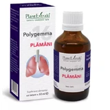 Polygemma 16, Lungs, 50 ml, PlantExtrakt