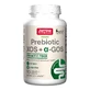 Prebiotica XOS+GOS Jarrow Formulas, 90 kauwtabletten, Secom