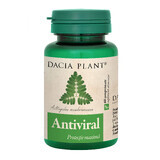Antiviral, 60 Tabletten, Dacia Plant
